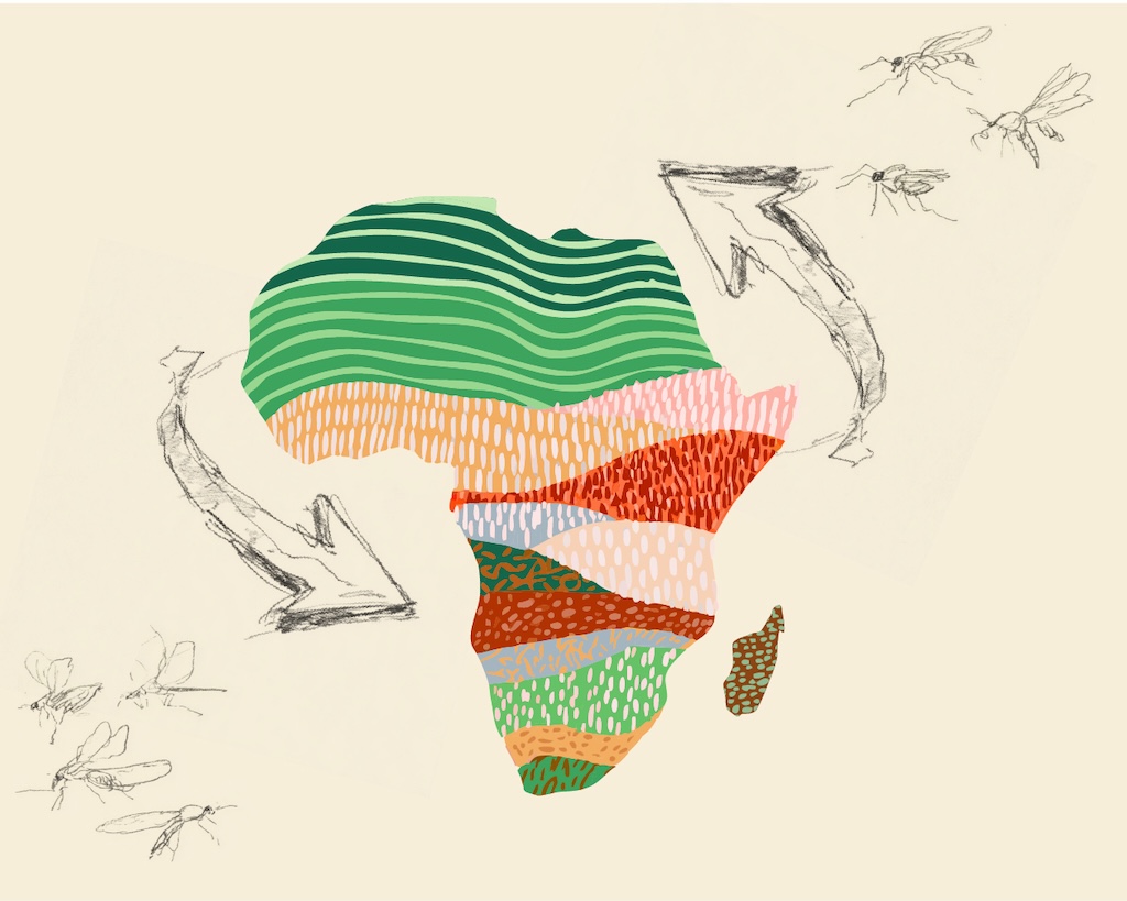 Africa malaria map with mosquitoes